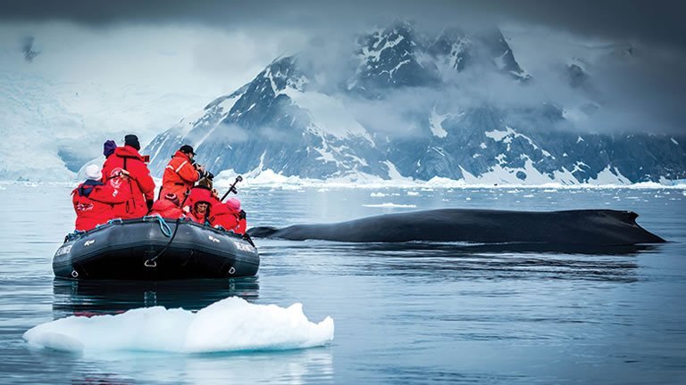 Expedition Cruises